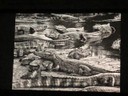 Keynote Speech: A Brazilian Amazon Forest Initiative - Sebastião Salgado