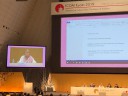 1 (37) The ICOM's President Suay Aksoy conducting the Extraordinary General Assembly that postponed the decision