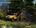 In the wilderness (para home, detalhe)