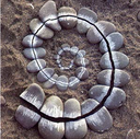 Andy Goldsworthy