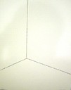 Organograma