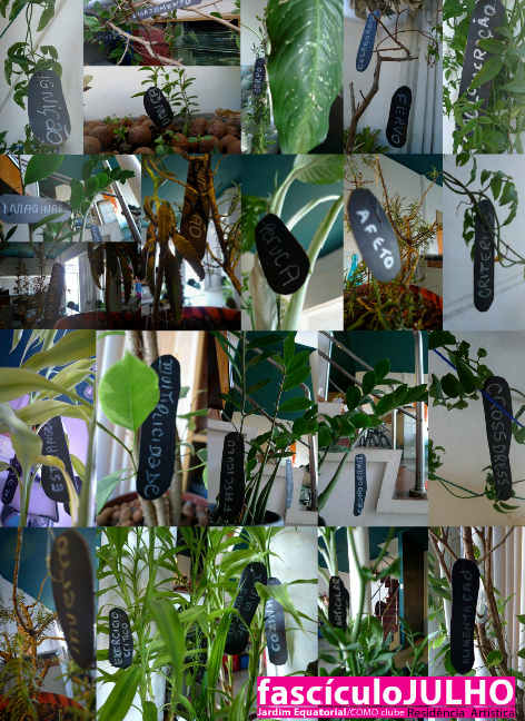 Jardim Equatorial