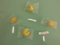 Asian Protocols 2