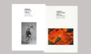Presentación DERIVAS, de Anna Maria Guasch y EL ARTE A CONTRATIEMPO, de Miguel Ángel Hernández. LA VIRREINA/16.12.21/19:00h