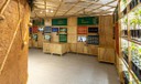 Museu das Culturas Indígenas exibe mostra sensorial sobre a Mata Atlântica