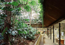 Jardim interno CCSP ( foto Nelson Kon )