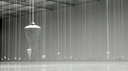 Forsythe Pendulo