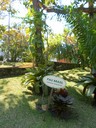 Nos Tropicos 01