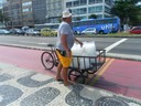 Nos Tropicos 09